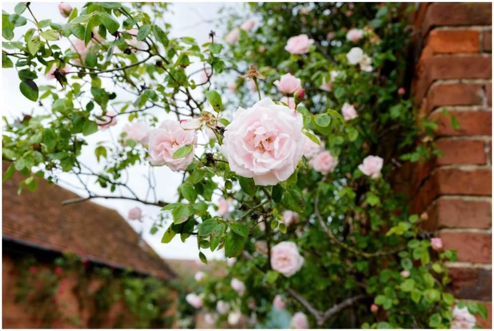 Abingdon-on-Thames Kingfisher Barn Bed & Breakfast מראה חיצוני תמונה